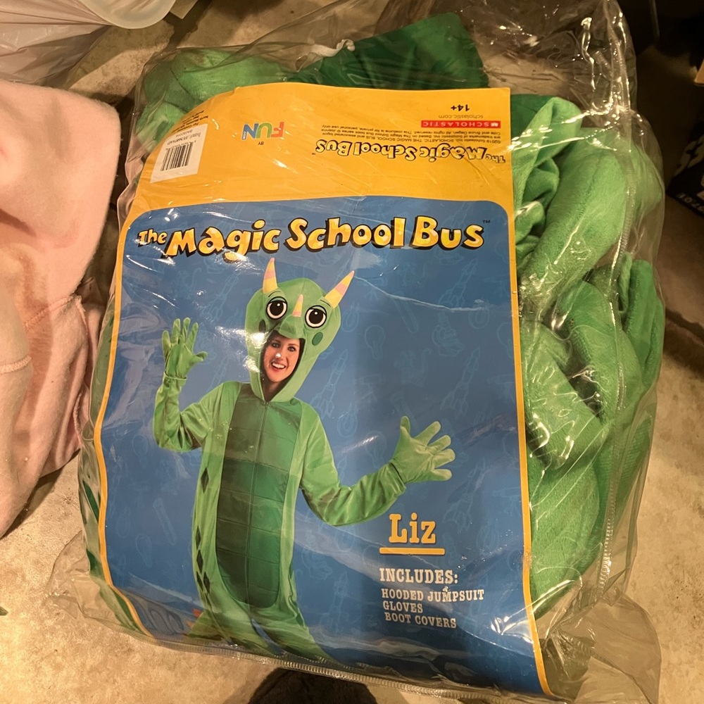 Liz/Chameleon Costume from the Magic School Bus